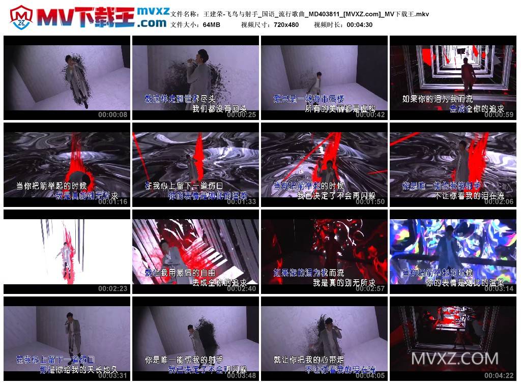 王建荣-飞鸟与射手_国语_流行歌曲_MD403811